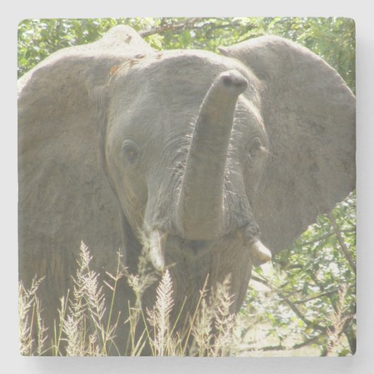 Elephant Stone Onderzetter (volledige kleur) (Voorkant)