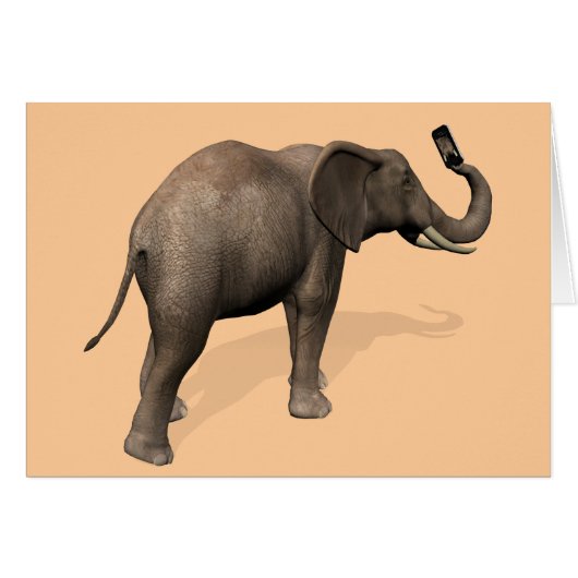 Elephant Taking A Selfie (Devant horizontal)