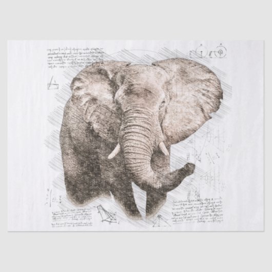 Elephant Tekening Tissuepapier (Voorkant)