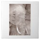 elephant tile tegeltje (Voorkant)