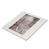 elephant tile tegeltje (Zijkant)