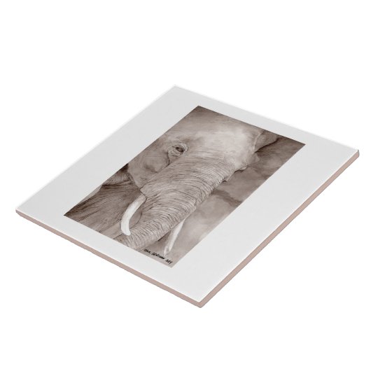 elephant tile tegeltje (Zijkant)