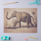 Elephant Tissue of decoupage Paper Tissuepapier (Craft)