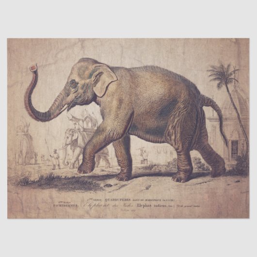 Elephant Tissue of decoupage Paper Tissuepapier (Voorkant)
