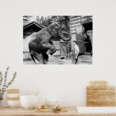 Elephant Trick, jaren 1910 Poster (Keuken)