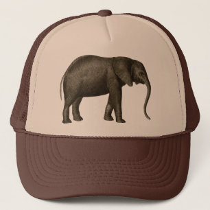 Elephant Trucker Pet