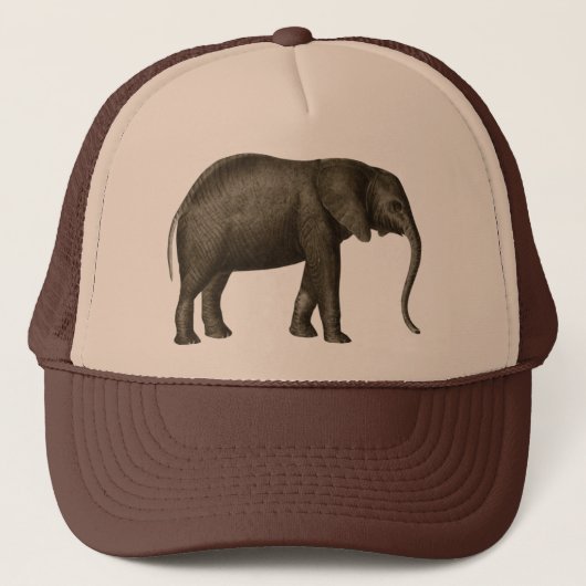 Elephant Trucker Pet (Voorkant)