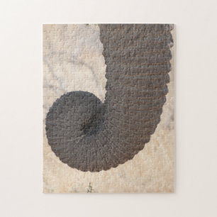 Elephant Trunk Jigzaag Puzzle Legpuzzel
