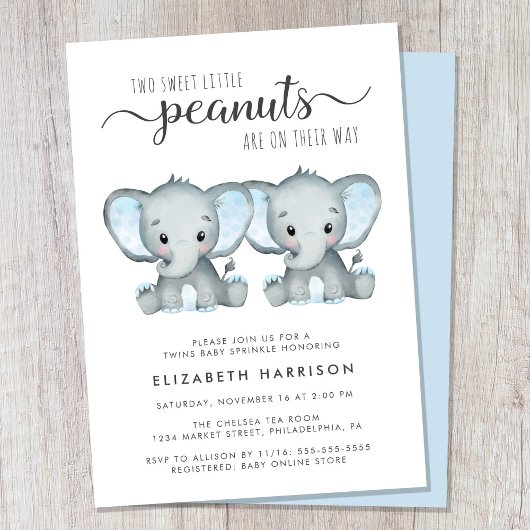 Elephant Twin Boys Baby Sprinkle Kaart