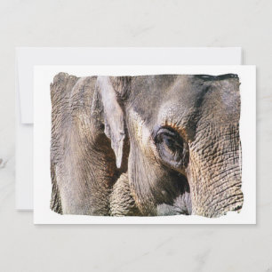 ELEPHANT-uitnodiging