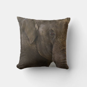 Elephant Up-Close Kussen