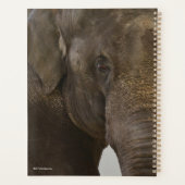 Elephant Up-Close Planner (Achterkant)