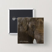 Elephant Up-Close Vierkante Button 5,1 Cm (Voorkant /achterkant)