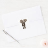 Elephant Vierkante Sticker (Envelop)
