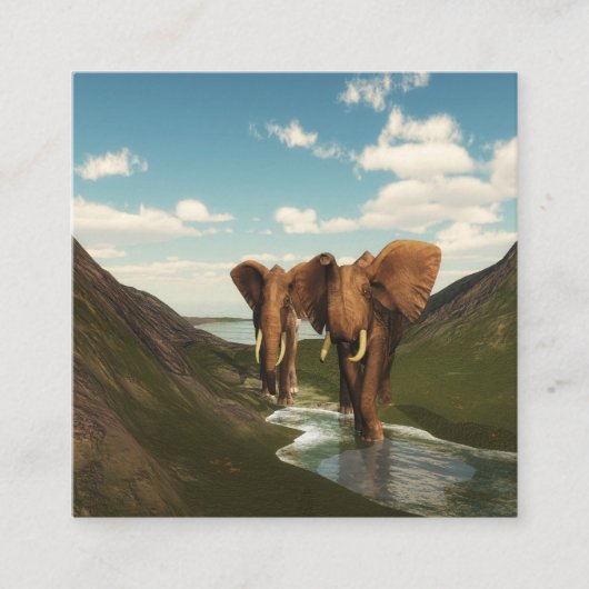 Elephant Vierkante Visitekaartje (Voorkant)