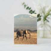 Elephant voor Kilimanjaro Briefkaart (Staand voorkant)