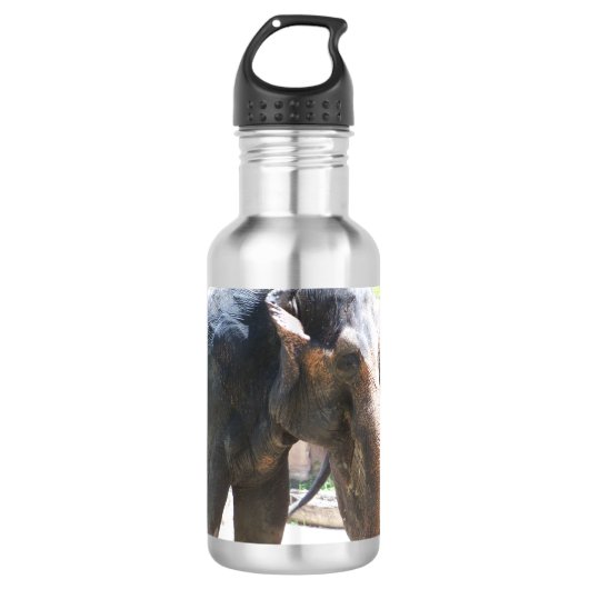 Elephant Waterfles (Voorkant)