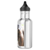 Elephant Waterfles (Rechts)