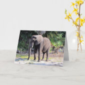 Elephant Wenskaart Kaart (Gele Bloem)