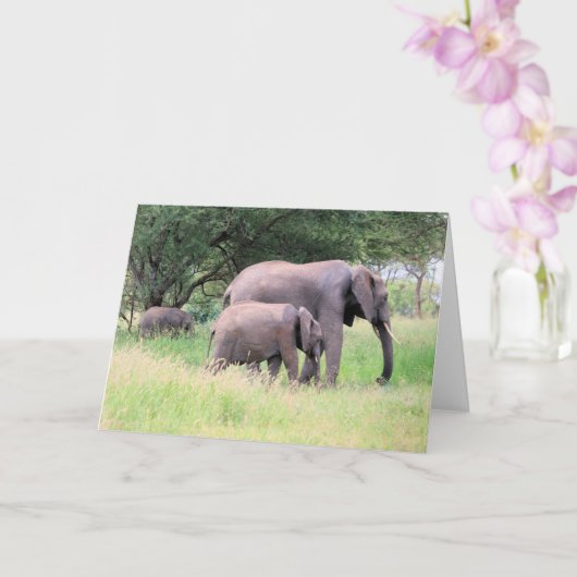 Elephant with Calves Wildlife Baby Animals Foto Kaart (Orchidee)