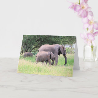 Elephant with Calves Wildlife Baby Animals Foto Kaart