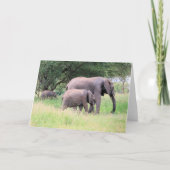 Elephant with Calves Wildlife Baby Animals Foto Kaart (Voorkant)