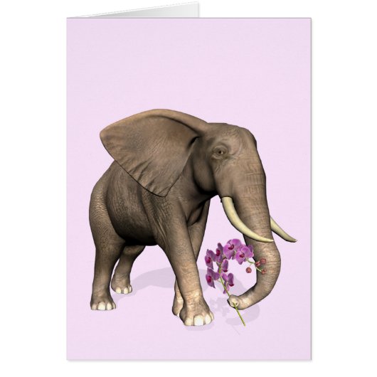 Elephant With Pink Orchid (Devant)