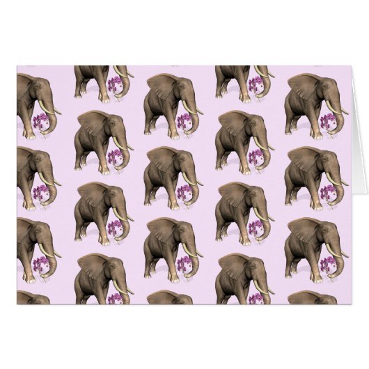 Elephant With Pink Orchid (Devant horizontal)