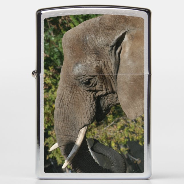 Elephant Zippo lichter (Voorkant)