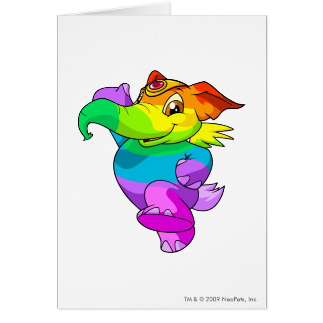 Elephante Rainbow (Voorkant)