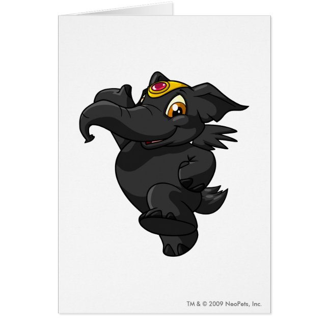 Elephante Shadow (Voorkant)
