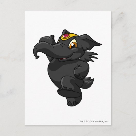 Elephante Shadow Briefkaart (Voorkant)