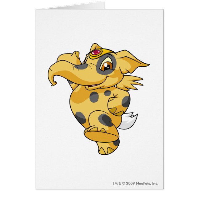 Elephante Spotted (Voorkant)