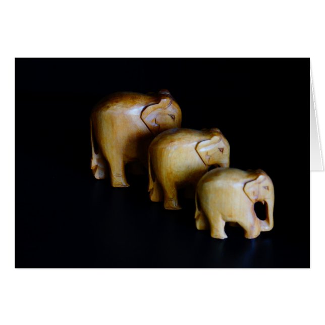 Éléphants (Devant Horizontal)