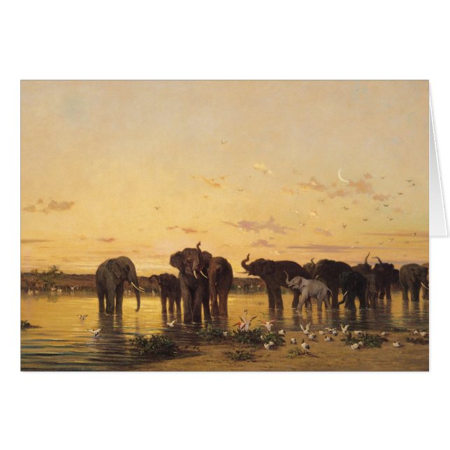 Éléphants africains (Devant horizontal)