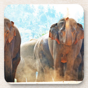 Elephants Animals Safari Destiny Peace Love Onderzetter