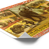Elephants Barnum & Bailey Circus Poster (Hoek)