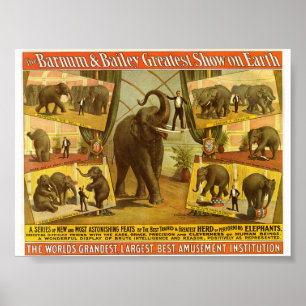 Elephants Barnum & Bailey Circus Poster