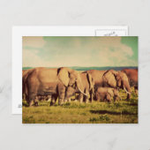 Elephants-briefkaart Briefkaart (Voorkant / Achterkant)