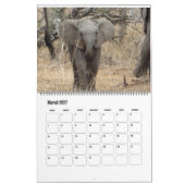 Elephants Calendar Kalender (Mar 2027)