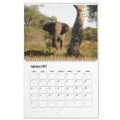 Elephants Calendar Kalender (Feb 2027)