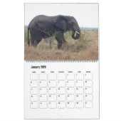 Elephants Calendar Kalender (Jan 2026)