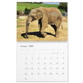 Elephants Calendar Kalender (Jan 2027)
