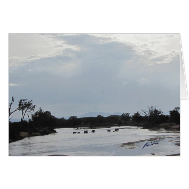 Éléphants croisant la carte de rivière (Devant horizontal)