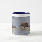 Éléphants croisant la tasse de rivière de (Centre)