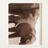 Eléphants de Chobe Planner (Dos)