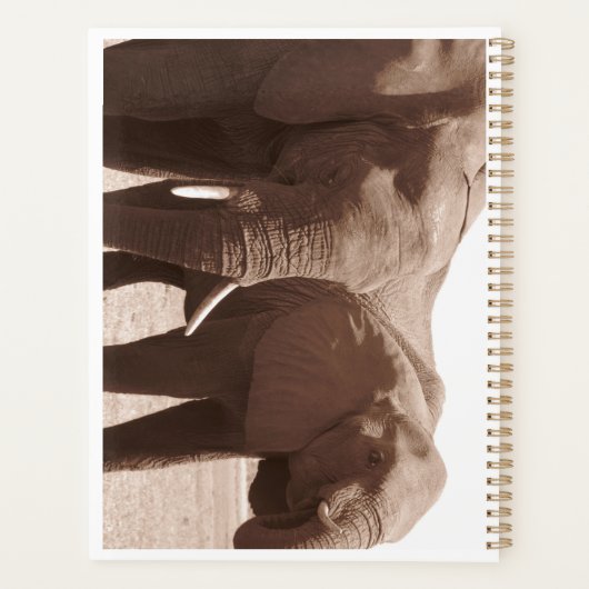 Eléphants de Chobe Planner (Dos)