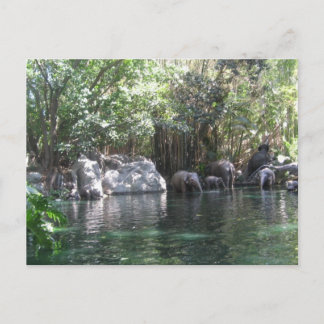 Eléphants en jeu carte postale