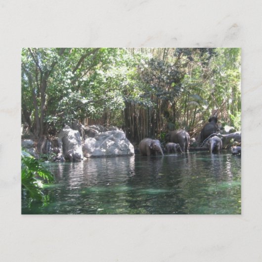 Eléphants en jeu carte postale (Devant)