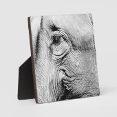 Elephants Eye, 2017 Fotoplaat (Voorkant)